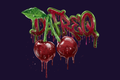 Cherries DaFREQ Digital Poster & Wallpaper Download